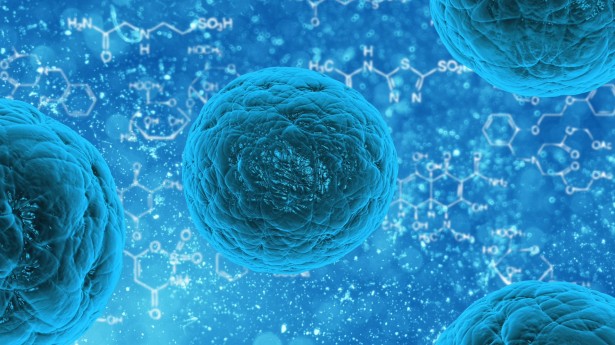 Antibody-Drug Conjugate