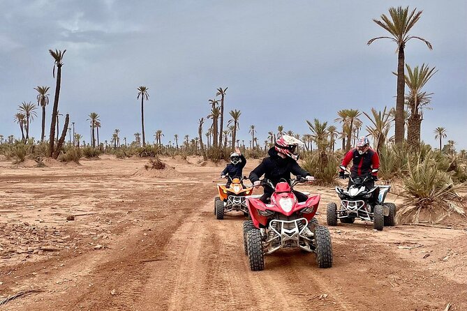 quad bike in palm grove marrakech